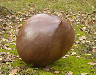 Chestnut