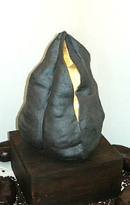 savonnier