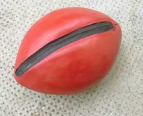 Cathy's bean