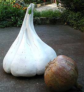Tête d'ail et oignon