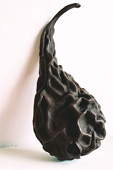 poire séchée