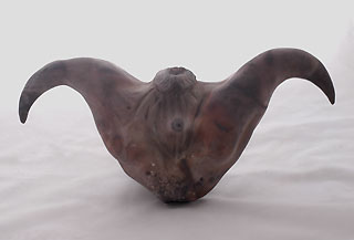 Trapa bicornis