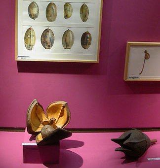 Museum de Blois