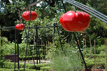 tomates volantes