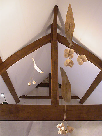 tilleuls