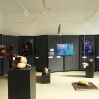 exposition Séverine Cadier