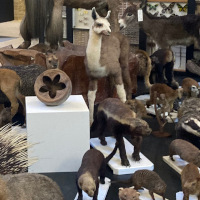 exposition Séverine Cadier