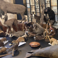 exposition Séverine Cadier