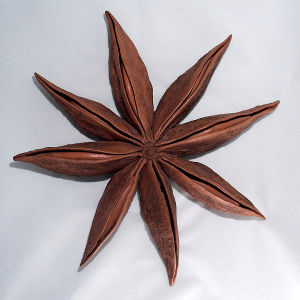 sculpture star anise