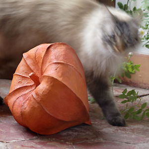 sculpture de physalis