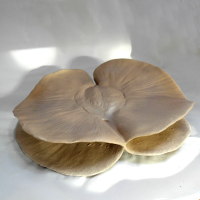 Pterodiscus