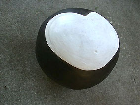 Cardiospermum