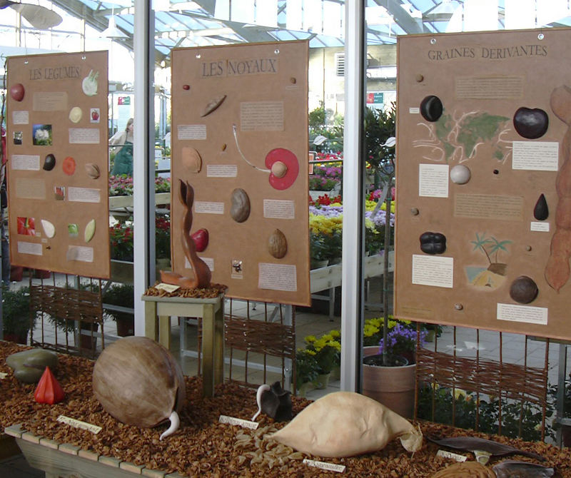 Céramiques végétales, sculptures de graines de terre