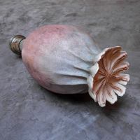 sculpture poppy GMO