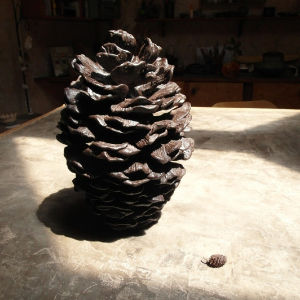 sculpture of alder seed